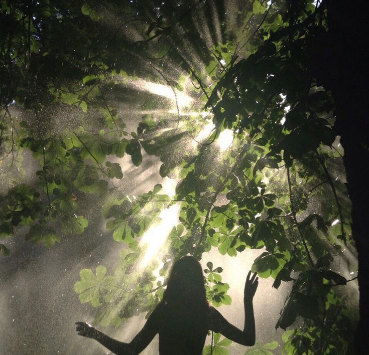 L’Arbre du Monde : de l’étincelle musicale à l’arbre cosmique
